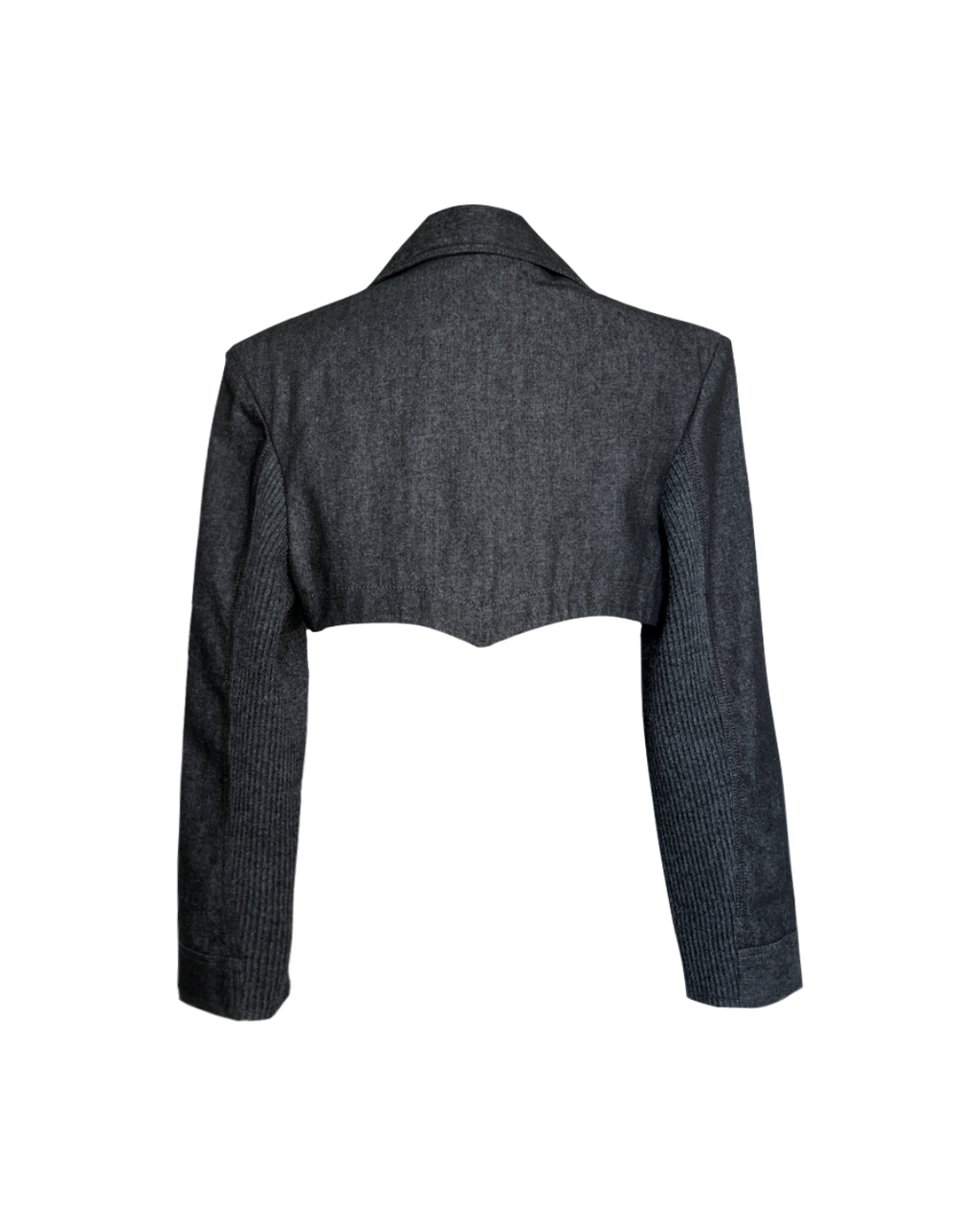 Vixen Cropped Blazer